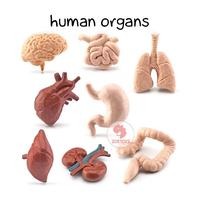 (Kategori: ) berada di . Dikirim oleh babiesprlvd (ID iklan 1379918712, Gambar 1). Deskripsi: .