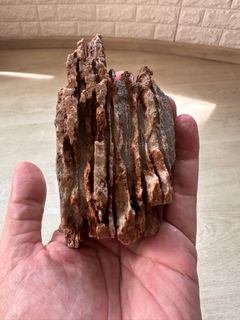(Category: ) located in . Submitted by ornamental_rocks (Listing ID 1379956004, Image 1). Description: .