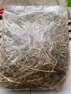 (Category: ) located in . Submitted by serial.sg (Listing ID 1380009289, Image 1). Description: .