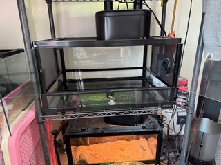 （分類：）位於 。 由 pinky1202 提交（商品編號 1380000844，圖片 1）。簡介： 。
