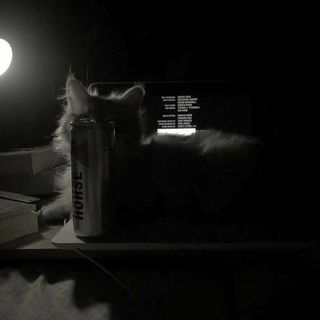 (Category: ) located in . Submitted by nxcro (Listing ID 1380090198, Image 1). Description: .