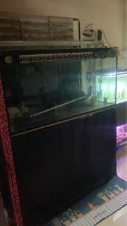 (Category: ) located in . Submitted by asyrafarifin2704 (Listing ID 1380199039, Image 1). Description: .