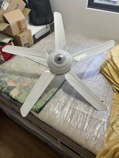 (Category: ) located in . Submitted by palmera.datilera (Listing ID 1380105211, Image 1). Description: .