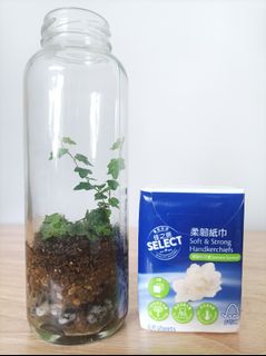 （分類：）位於 。 由 byg2020 提交（商品編號 1380165947，圖片 1）。簡介： 。