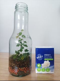 （分類：）位於 。 由 byg2020 提交（商品編號 1380166337，圖片 1）。簡介： 。