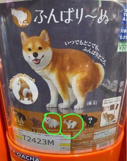 （分類：）位於 。 由 toro_1116 提交（商品編號 1380267844，圖片 1）。簡介： 。