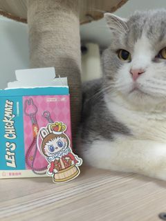 （分類：）位於 。 由 chuimeow 提交（商品編號 1380233581，圖片 1）。簡介： 。