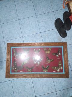 (Kategori: ) berada di . Dikirim oleh rasyy060926310 (ID iklan 1380148732, Gambar 1). Deskripsi: .