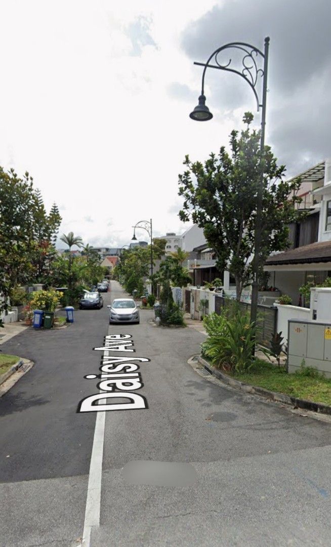 Daisy Avenue Daisy Park63109552887298115