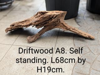 (Category: ) located in . Submitted by elmohi5 (Listing ID 1380116939, Image 1). Description: .