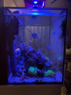 (Category: ) located in . Submitted by torontosg (Listing ID 1380221365, Image 1). Description: .
