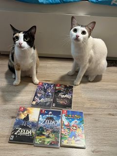 (Category: ) located in . Submitted by lovely.peach.store (Listing ID 1380226803, Image 1). Description: .