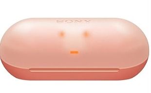 Sony WF-C50063209279964033111