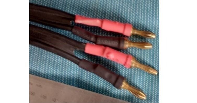 Speaker Cable Jumpers63209279578626112