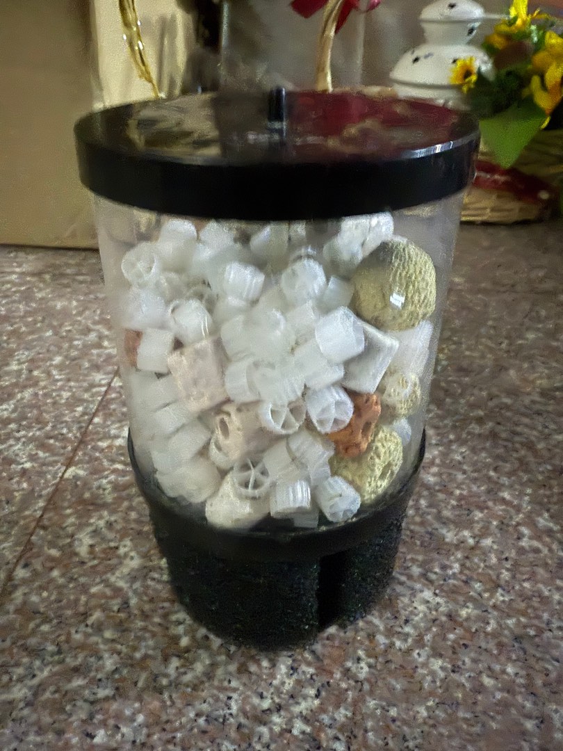 (Category: ) located in . Submitted by santyk01 (Listing ID 1380248453, Image 1). Description: .