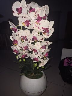 (Kategori: ) berada di . Dikirim oleh tatamanda389238 (ID iklan 1380237349, Gambar 1). Deskripsi: .
