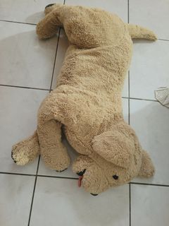 (Kategori: ) berada di . Dikirim oleh tokobajupipi (ID iklan 1380294677, Gambar 1). Deskripsi: .