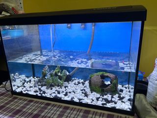 (Category: ) located in . Submitted by cegvijay (Listing ID 1380407501, Image 1). Description: .