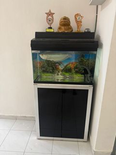 (Category: ) located in . Submitted by paavi (Listing ID 1380319922, Image 1). Description: .