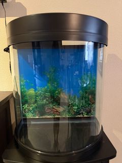 (Category: ) located in . Submitted by babyblisss (Listing ID 1380394574, Image 1). Description: .