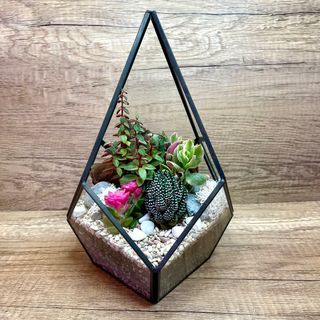 (Category: ) located in . Submitted by lushglassdoor (Listing ID 1380379670, Image 1). Description: .