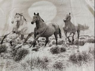 (Kategori: ) berada di . Dikirim oleh no_rekber (ID iklan 1380369278, Gambar 1). Deskripsi: .