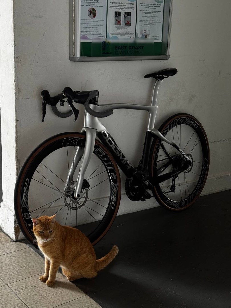 Entretoises De Direction Pinarello OEM - Neuf Avec Défauts Mineurs - Pour Vélo