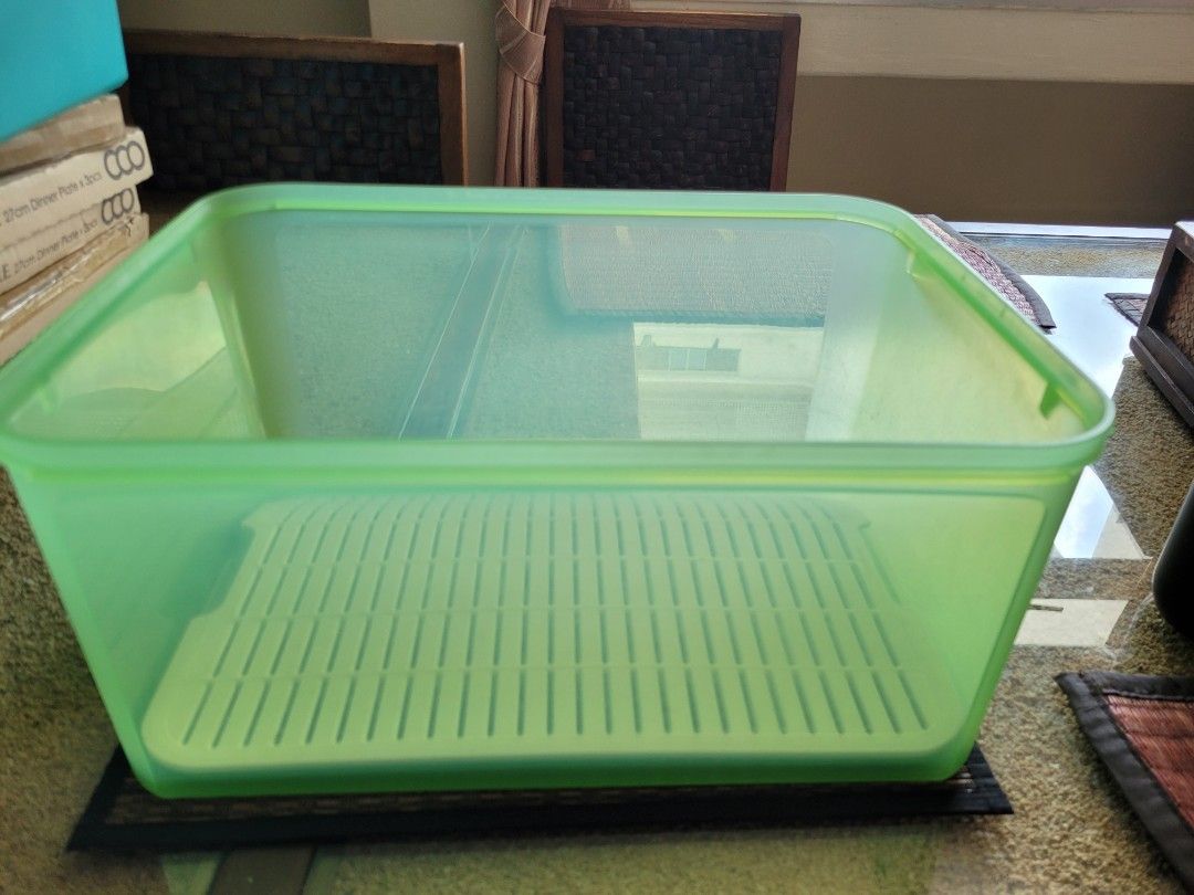Tupperware (Category: Food Organisation & Storage) located in Singapore. Submitted by teresa1368 (Listing ID 1380345682, Image 1). Description: Tupperware Vegetables or fruits storage box. Color: Green. Size: 14 inch x 10.5 inch x 7 inch Price: $18.