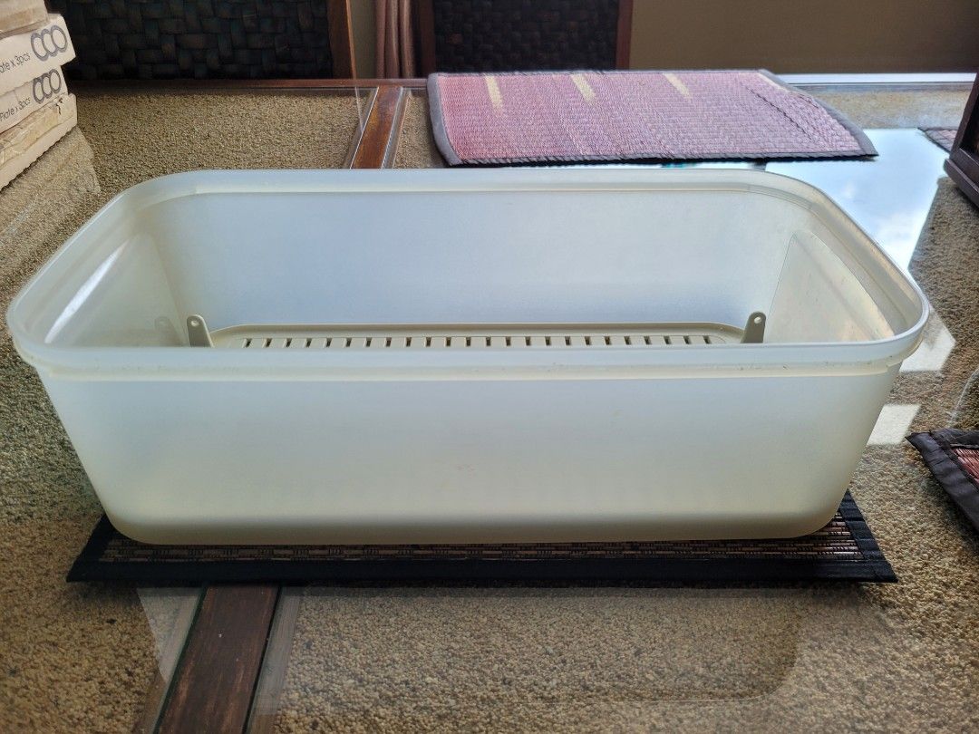 Tupperware (Category: Food Organisation & Storage) located in Singapore. Submitted by teresa1368 (Listing ID 1380349318, Image 3). Description: Tupperware vegetables/fruits/meat storage box. Color: Blue Size: 14.5 x 7 x 4.5 inch.
