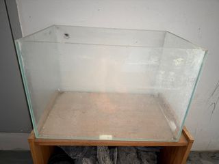 (Category: ) located in . Submitted by 94vmsfs5bg (Listing ID 1380340792, Image 1). Description: .