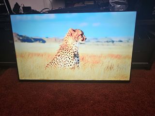 (Category: ) located in . Submitted by le_gift (Listing ID 1380692892, Image 1). Description: .