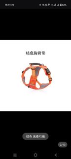 由 viennelui.1 (刊登 ID 1380591757，圖片 1) 提交，位於 的 (類別：)，說明：。