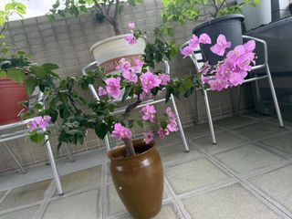 （分類：）位於 。 由 astrayhk 提交（商品編號 1380506755，圖片 1）。簡介： 。