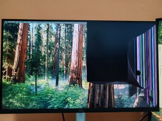 (Category: ) located in . Submitted by hexanegmf28431 (Listing ID 1380551439, Image 1). Description: .