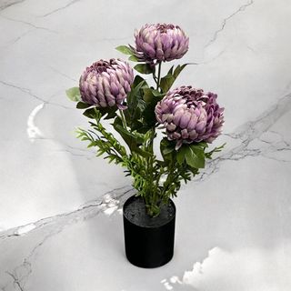 (Category: ) located in . Submitted by altonflowerscomm (Listing ID 1380690337, Image 1). Description: .