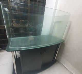 (Category: ) located in . Submitted by fishyed (Listing ID 1380646733, Image 1). Description: .