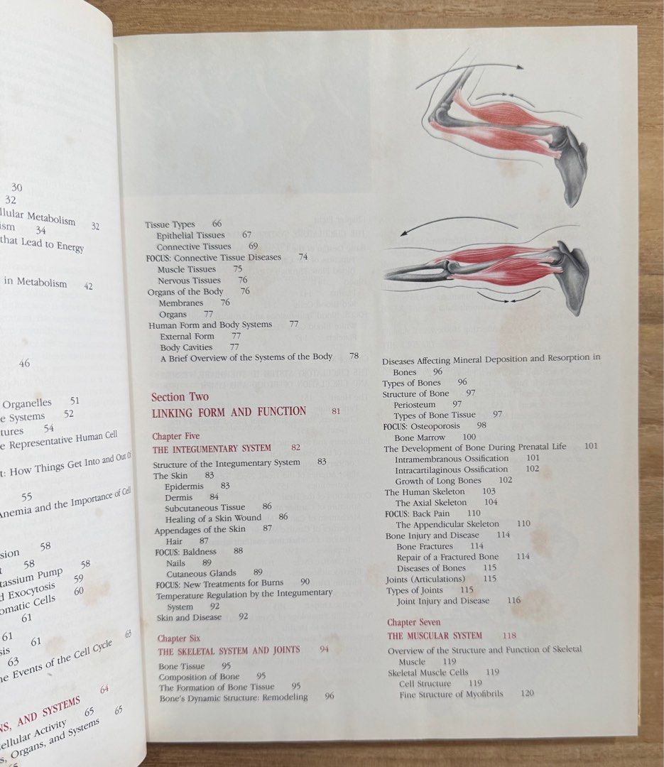 Human Biology (Category: Textbooks) located in San Pedro. Submitted by pageturner19 (Listing ID 1380519450, Image 3). Description: .