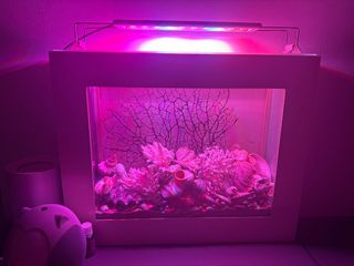(Category: ) located in . Submitted by jonlim80 (Listing ID 1380661096, Image 1). Description: .