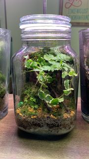 (Category: ) located in . Submitted by nikkibay (Listing ID 1380677712, Image 1). Description: .