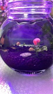 (Category: ) located in . Submitted by tracyloves (Listing ID 1380638636, Image 1). Description: .