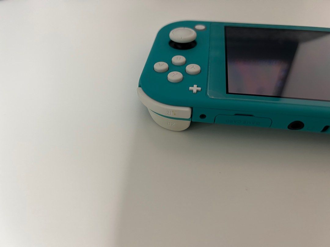Nintendo Switch Lite63108480198786113
