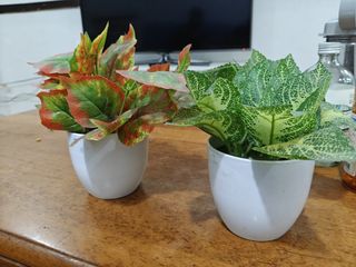 (Category: ) located in . Submitted by kumdar (Listing ID 1380659438, Image 1). Description: .