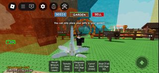 (Category: ) located in . Submitted by kiwiplayz5849 (Listing ID 1380612437, Image 1). Description: .