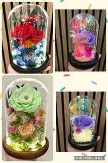 (Category: ) located in . Submitted by lovely_indulgence (Listing ID 1380507011, Image 1). Description: .