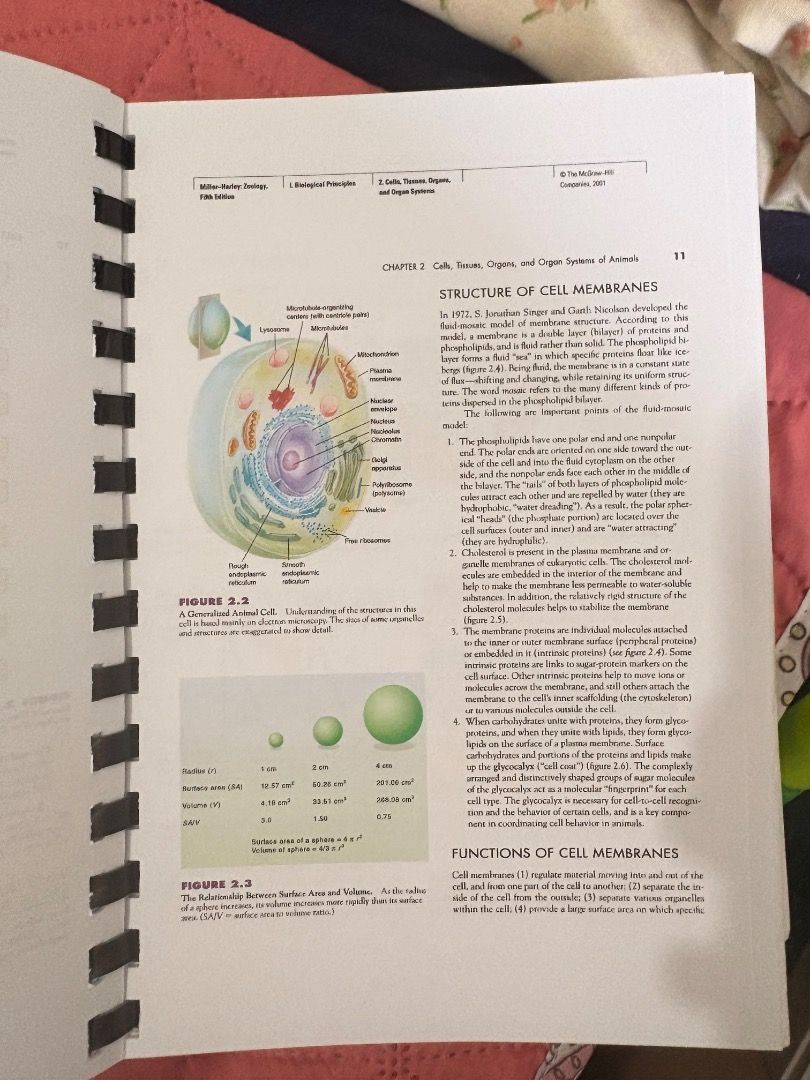 Zoology by Miller Harley 5th Edition - Printed (Category: Textbooks) located in Paranaque City. Submitted by mebb118 (Listing ID 1380528479, Image 2). Description: Printed copy of Miller Harley’s Zoology 5th Edition 1/2 bond paper size.