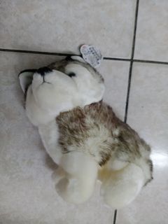 由 warmingheartshop.1 (刊登 ID 1380720443，圖片 1) 提交，位於 的 (類別：)，說明：。