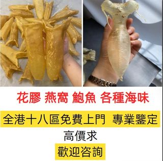 （分類：）位於 。 由 safkatcata24431 提交（商品編號 1380703239，圖片 1）。簡介： 。