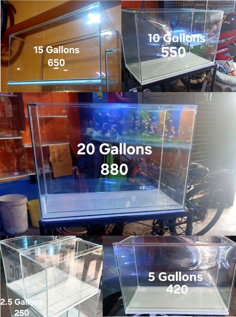 Aquarium Fish Tanks Hamster Enclosure (Category: Homes & Other Pet Accessories) located in Quezon City. Submitted by avalencer (Listing ID 1380896210, Image 1). Description: Brand new fish tanks 2.5 Gallons 250 5 Gallons 420 10 Gallons 550 15 Gallons 650 20 Gallons 880 (Stand not included) Location QC near Muñoz Cod/Gcash payment available Delivery Via Lalamove.