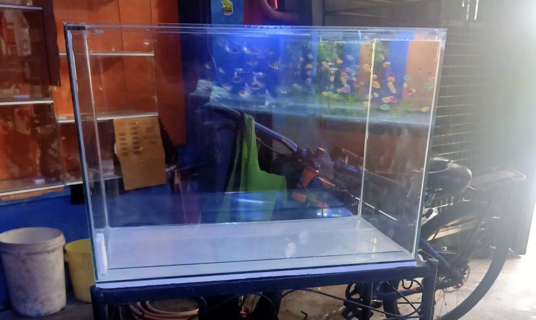 Aquarium Fish Tanks Hamster Enclosure (Category: Homes & Other Pet Accessories) located in Quezon City. Submitted by avalencer (Listing ID 1380896210, Image 2). Description: Brand new fish tanks 2.5 Gallons 250 5 Gallons 420 10 Gallons 550 15 Gallons 650 20 Gallons 880 (Stand not included) Location QC near Muñoz Cod/Gcash payment available Delivery Via Lalamove.
