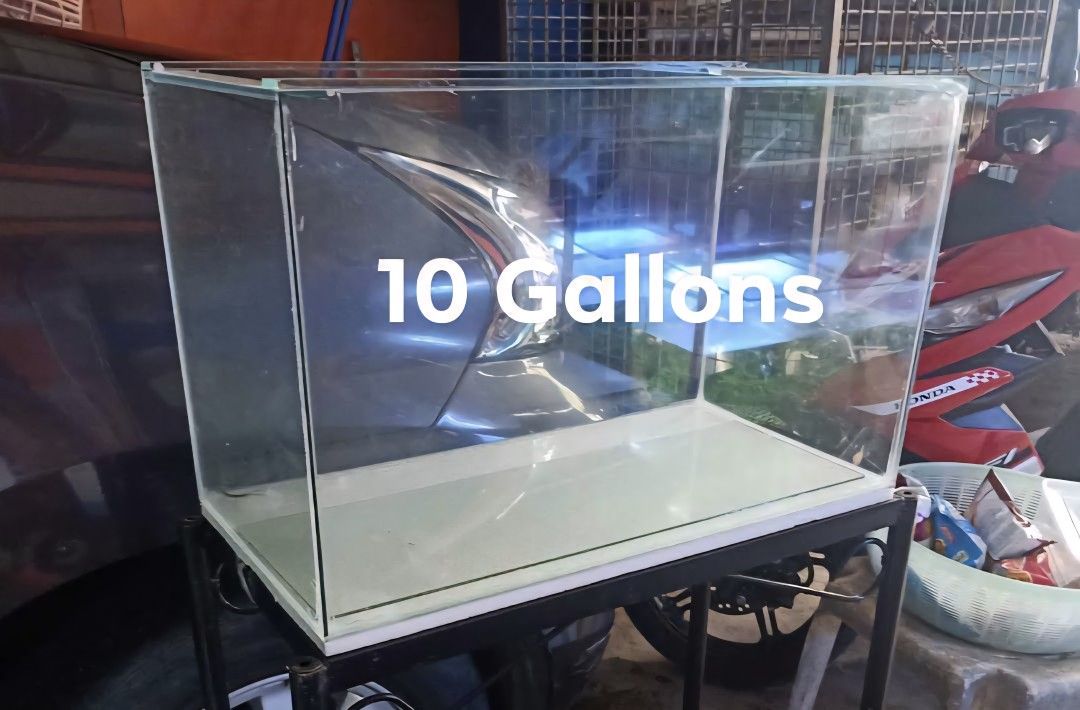 Aquarium Fish Tanks Hamster Enclosure (Category: Homes & Other Pet Accessories) located in Quezon City. Submitted by avalencer (Listing ID 1380896210, Image 3). Description: Brand new fish tanks 2.5 Gallons 250 5 Gallons 420 10 Gallons 550 15 Gallons 650 20 Gallons 880 (Stand not included) Location QC near Muñoz Cod/Gcash payment available Delivery Via Lalamove.